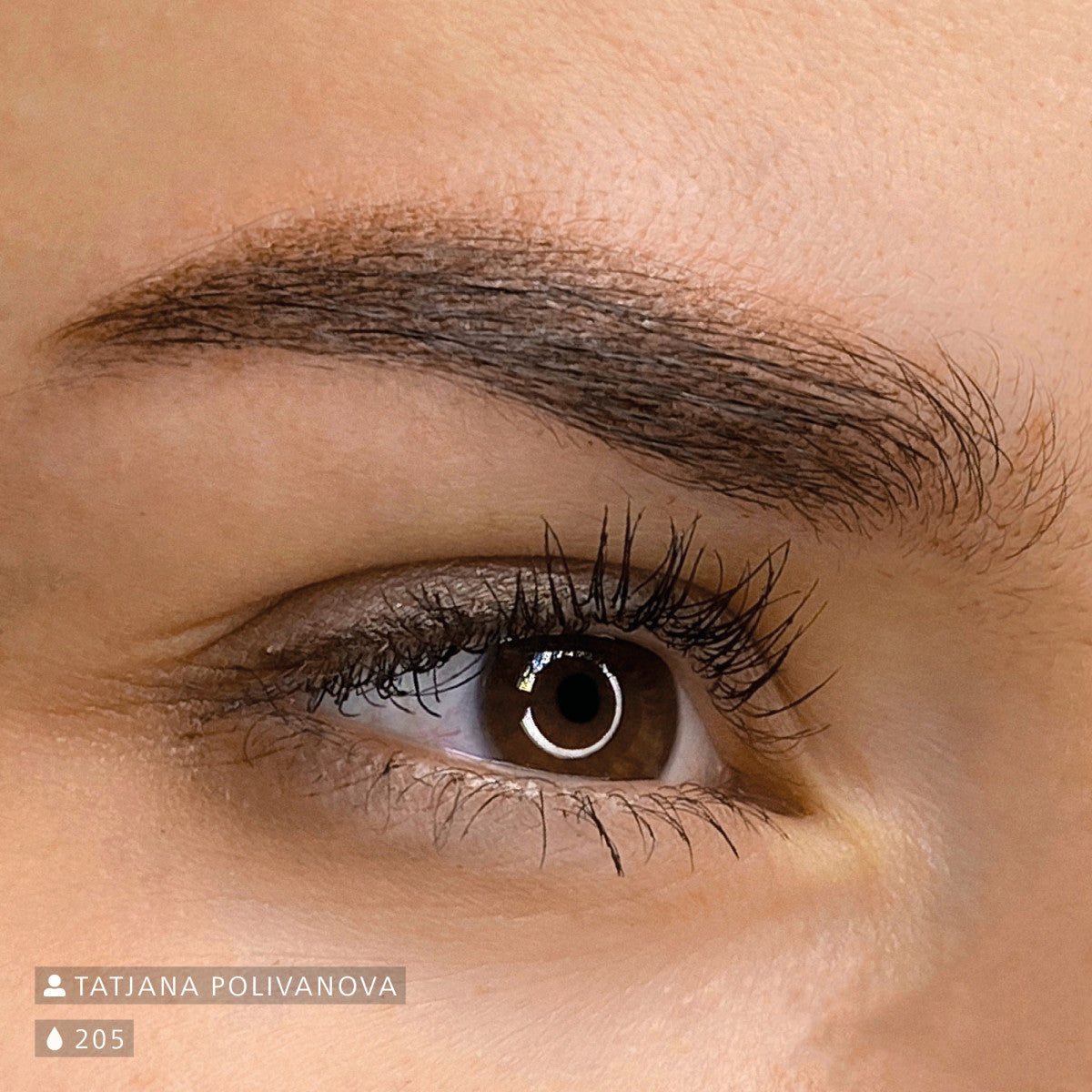 Swiss Color 205 Dark Brown