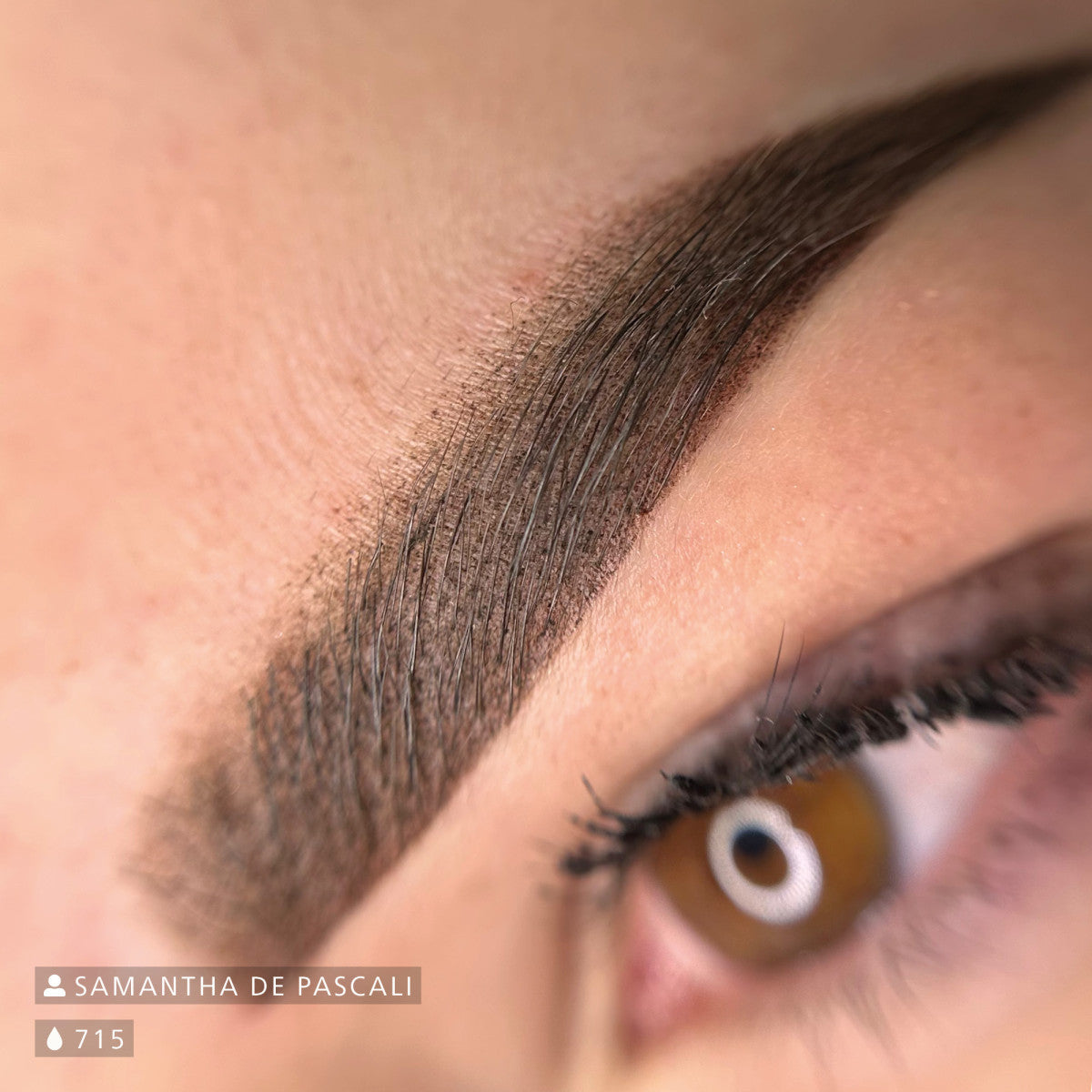 Swiss Color 715 Classic Brown