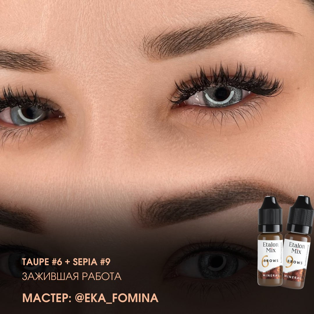 Etalon Mix Mineral Sepia n° 9