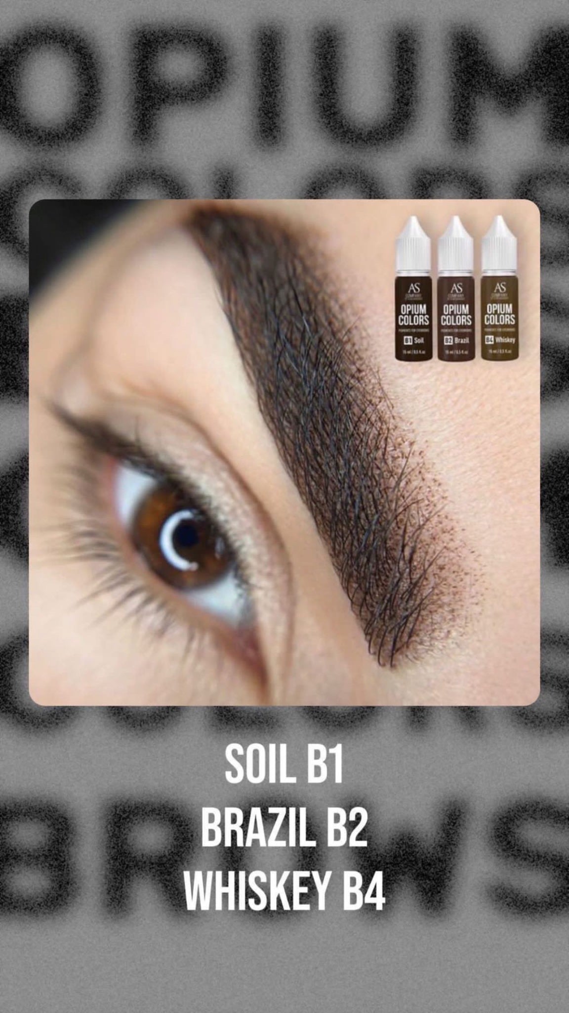 AS COMPANY B1-Soil (OPIUM COLORS)