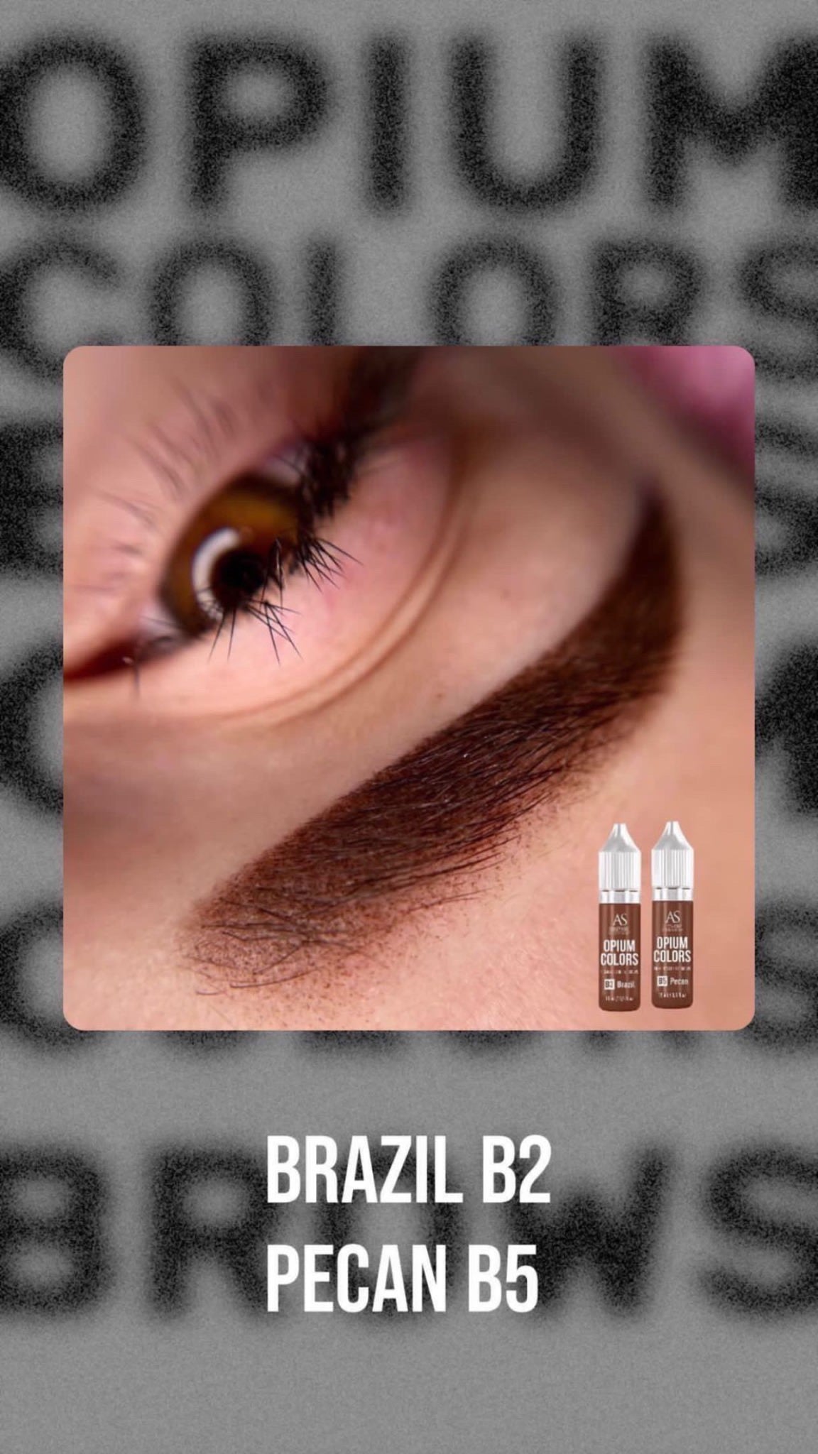 AS COMPANY B5-Pecan (OPIUM COLORS)