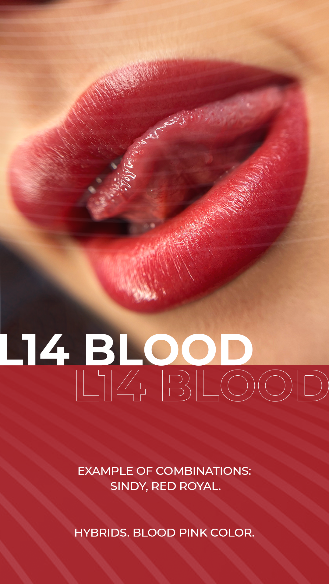 AS COMPANY L14-Blood