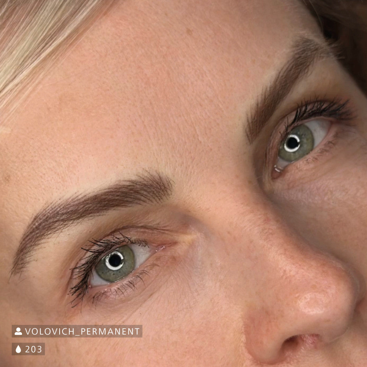 Swiss Color 203 Chocolate Brown