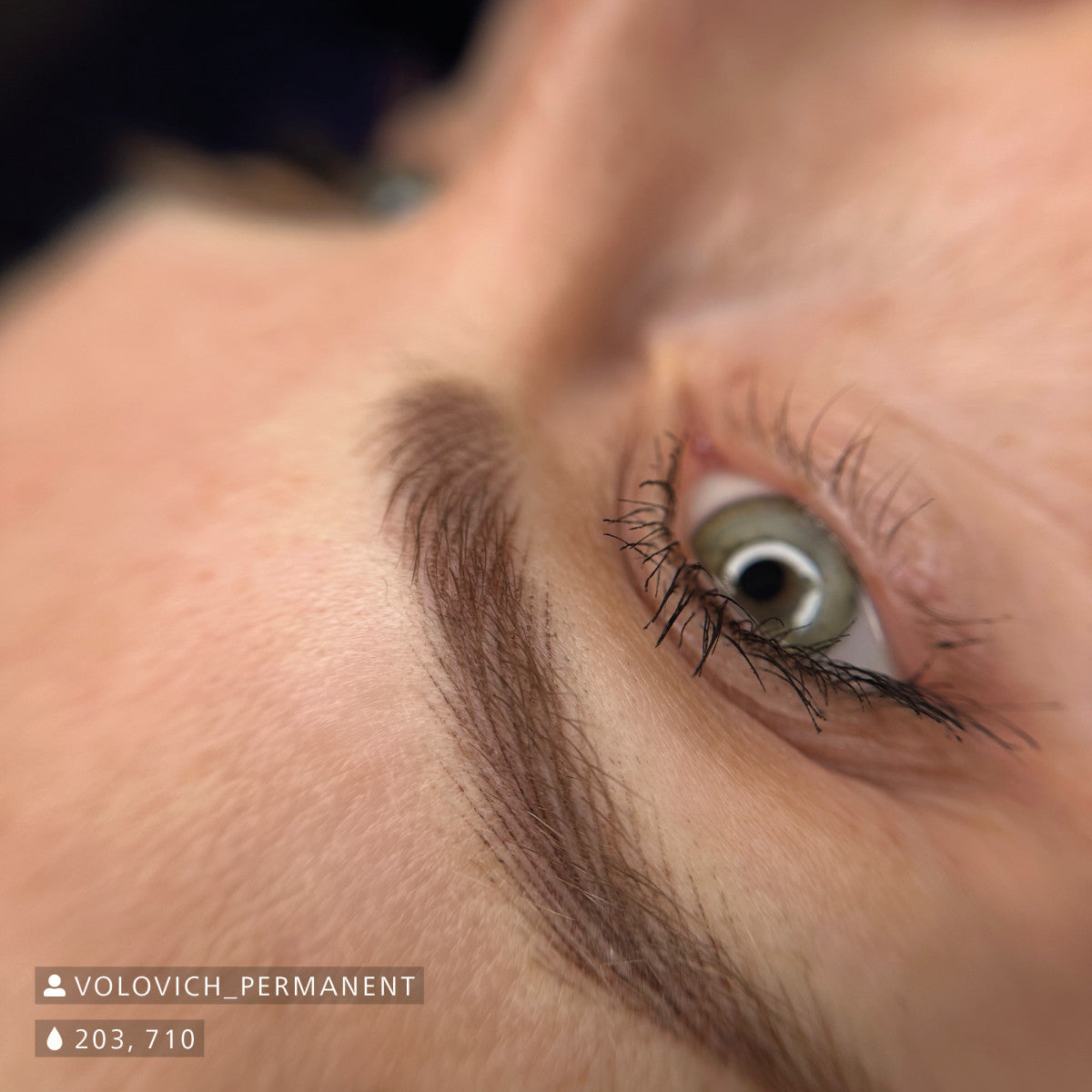 Swiss Color 710 Tender Brown