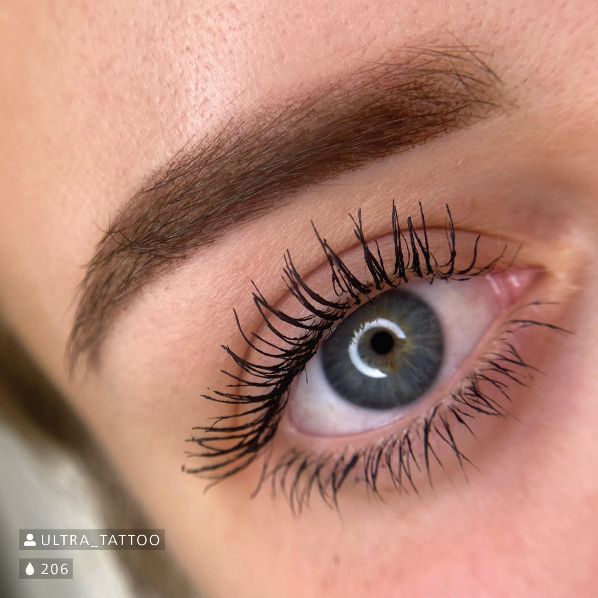 Swiss Color 206 Cocoa Brown