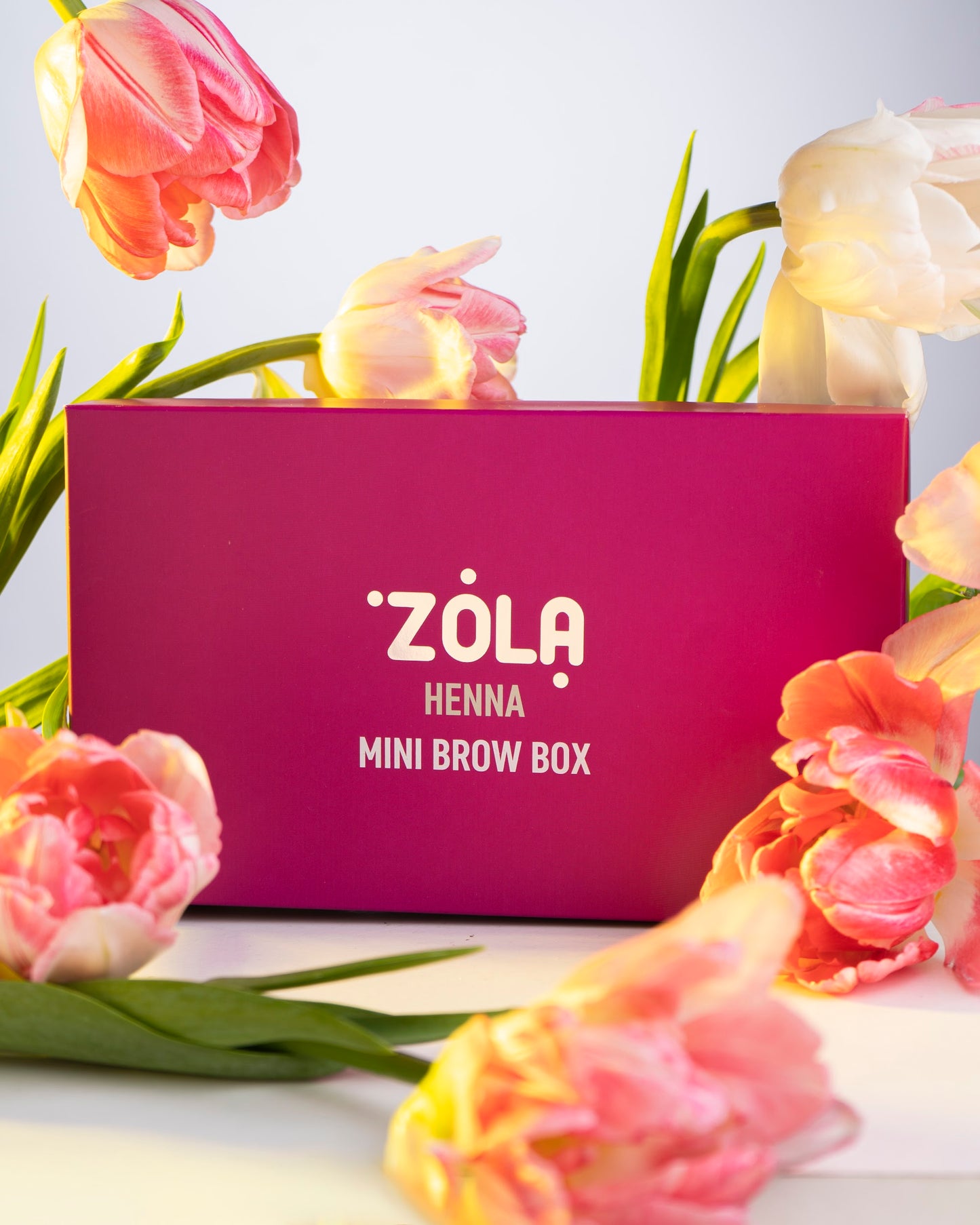 ZOLA Henna box 5g 6 Stück