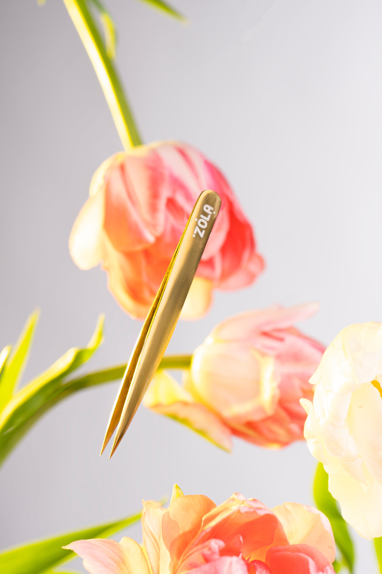 ZOLA Professionelle Augenbrauen Pinzette GOLD