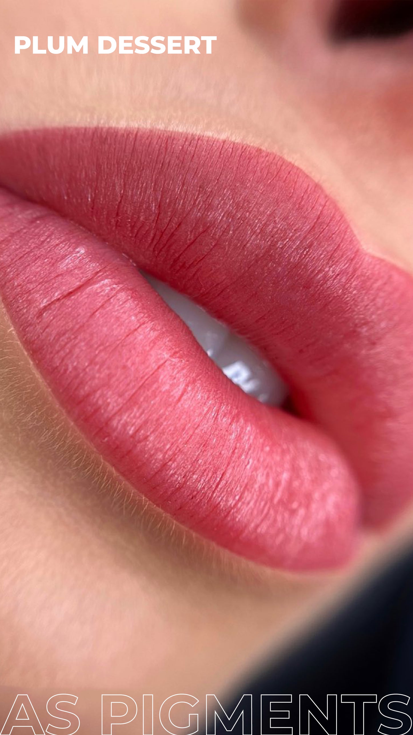 Plum Dessert Lippen